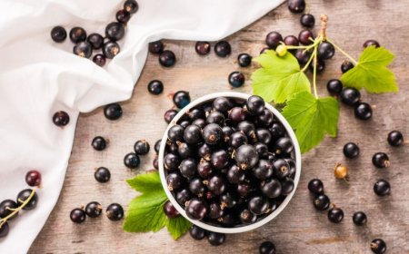 Маски для лица из смородины