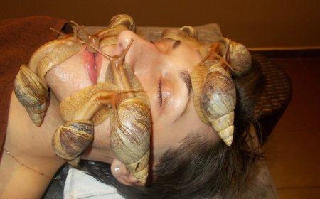 Массаж лица улитками ахатинами