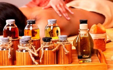 Миндальное, оливковое, кокосовое: какое масло выбрать для массажа тела.