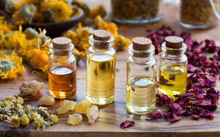 Масло из трав для массажа - эффективный способ расслабления на основе натуральных ингредиентов