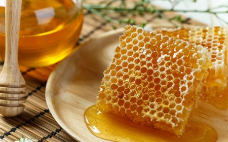 Влияние меда на красоту и здоровье женщины