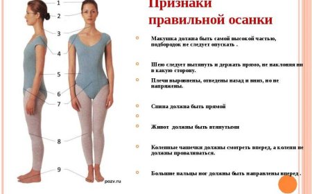 Упражнения для правильной осанки