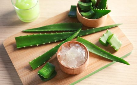 8 способов применения геля алоэ вера для ухода за кожей