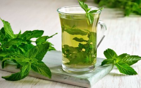 Лучшие способы использования мяты