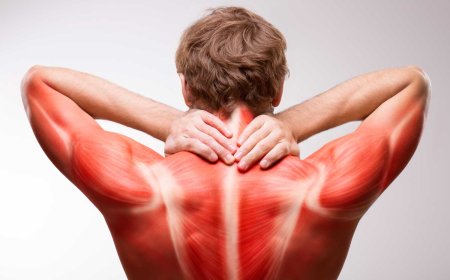 Заболевания мышц: снижение тонуса и спазмы