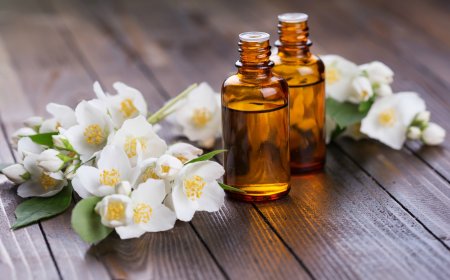 Эфирное масло жасмина и его благотворное воздействие