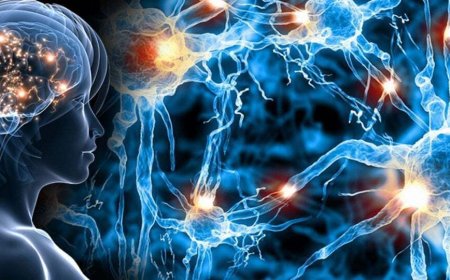 Тренировка мозга – зарядите свой мозг энергией!