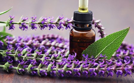 Ароматерапия для женского здоровья: мускатный шалфей