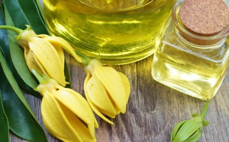 Секреты применения масла иланг-иланг для волос