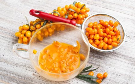 Облепиха – залог красоты и молодости