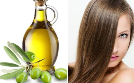 Оливковое масло в уходе за волосами: свойства и рецепты