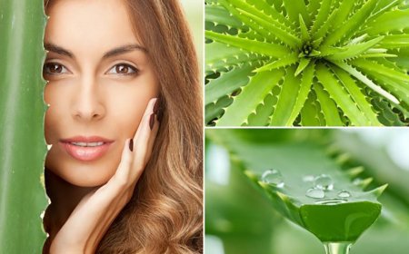 Маски из алоэ