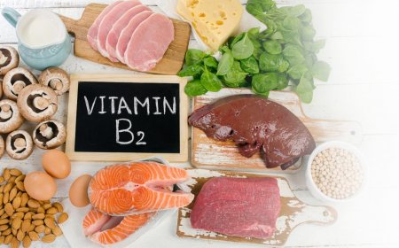 Какую роль в нашем организме играет витамин В2