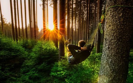 Секреты здоровья и долголетия: лекарство от стресса