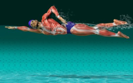 Поговорим о плавании: его польза и противопоказания