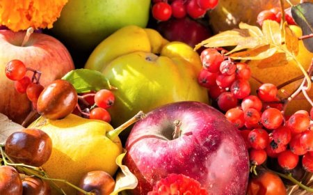 Осень без болезней: лучшие фрукты для иммунитета