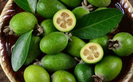 10 свойств фейхоа, необходимых для красоты и здоровья