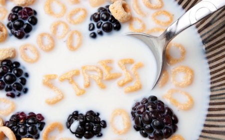 Диета от стресса: в чем же ее особенности?