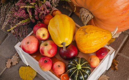 Следим за здоровьем: как повысить иммунитет осенью?