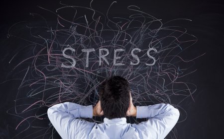 Что такое стресс и как его избежать: полезные рекомендации
