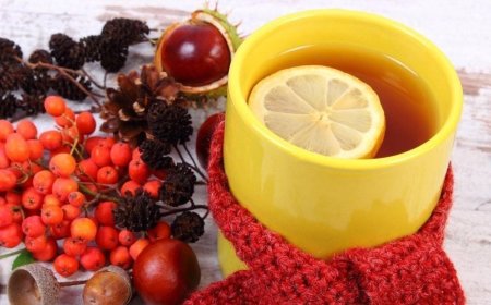 Укрепляем иммунитет дома: готовимся к зимним холодам весело!