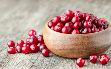 Клюква: мощный природный целитель и источник здоровья