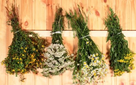 Полезные травы для заваривания в бане