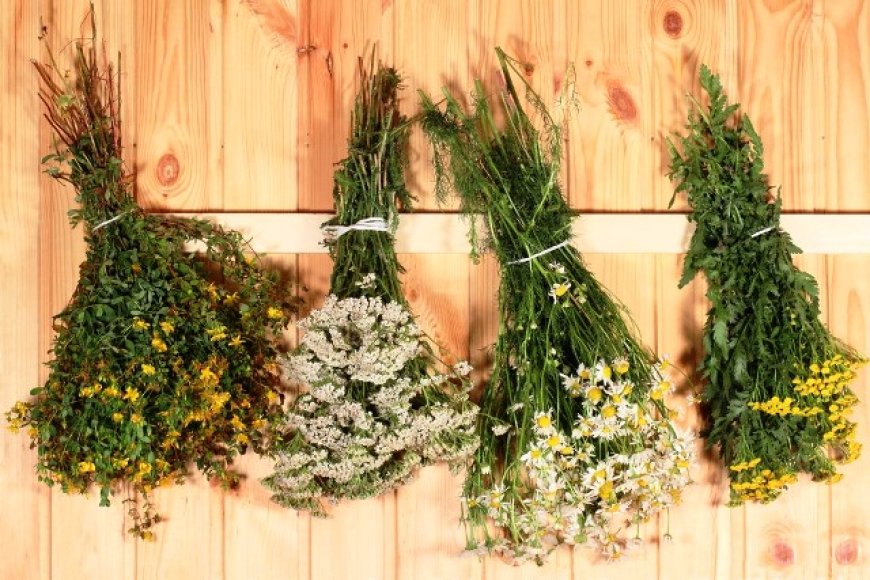 Полезные травы для заваривания в бане